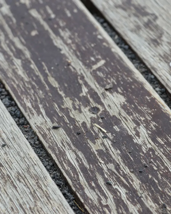 Close-up of a weathered deck board with peeling finish and exposed nail heads