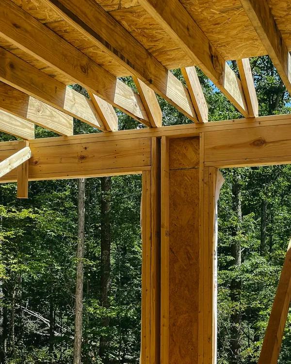 Wood roof framing with exposed rafters over a deck, trees behind